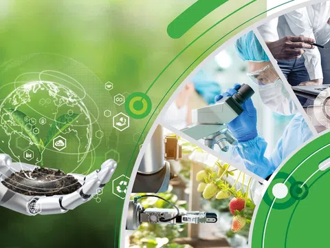 Tín dụng xanh: Chìa khóa vàng cho nông nghiệp Việt Nam trước biến đổi khí hậu