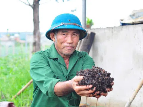 Biến phụ phẩm nông nghiệp thành "vàng xanh": Câu chuyện từ những mô hình thực tiễn