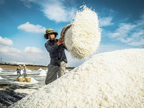 Hạt muối Việt: Đã đến lúc viết lại câu chuyện từ biển cả