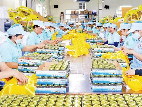 Yến sào Việt: Hướng đi vững chắc cho "vàng trắng" vươn tầm thế giới