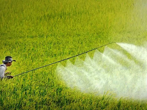Đổi mới sáng tạo nông nghiệp: Từ lạm dụng thuốc trừ sâu đến giải pháp sinh thái bền vững