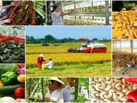 Đạo đức trong chuỗi giá trị từ tư duy “Bán cái mình có” sang sứ mệnh “Trao gửi niềm tin và sức khỏe” (Bài 05)