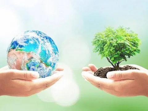 Tái cấu trúc đa dạng sinh học nông nghiệp - Từ đứt gãy hệ sinh thái đến chiến lược phục hồi (Bài 06)