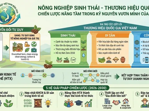 Nông nghiệp Sinh thái - Thương hiệu Quốc gia, tầm nhìn chiến lược trong Kỷ nguyên vươn mình (Bài 10)