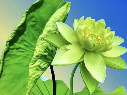 Ngòi bút kinh luân trên đài sen đức chính 