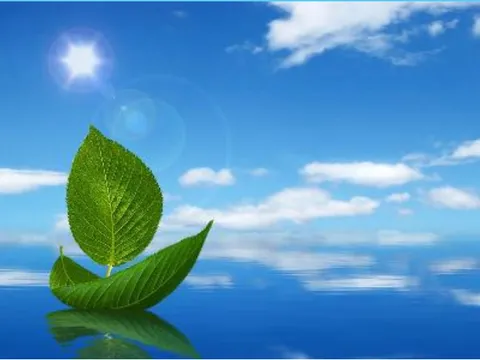 Tự chủ nội tâm