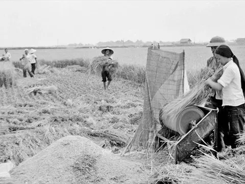HTX Nông nghiệp Việt Nam giai đoạn (1987 - 1996) - Bài 05