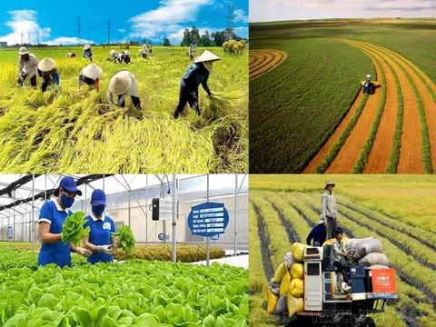 HTX Nông nghiệp Việt Nam giai đoạn (1997 - 2002) - Bài 06