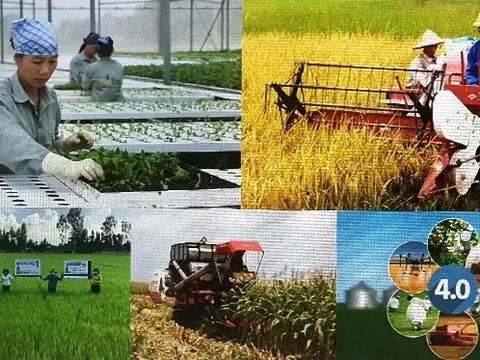 HTX Nông nghiệp Việt Nam giai đoạn (2004 - 2012) - Bài 07