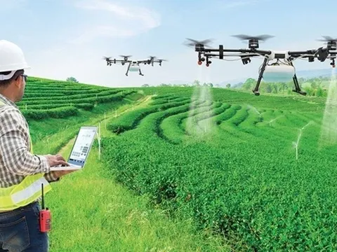 HTX Nông nghiệp Việt Nam giai đoạn từ 2013 đến nay và tầm nhìn 2045 (Bài 08)