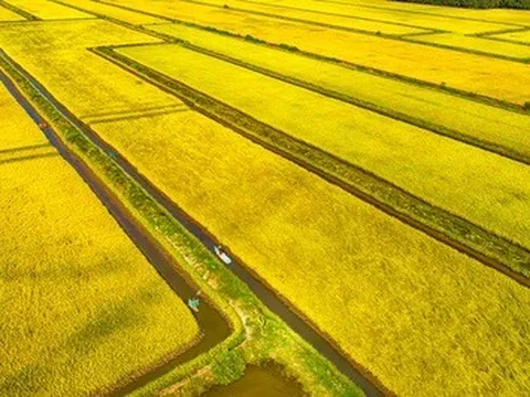 Từ Chỉ thị 100 đến Nghị quyết 10: Hành trình gỡ nút thắt cho HTX Nông nghiệp Việt Nam - Bài 09