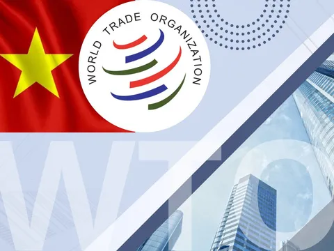 HTX trong tiến trình hội nhập WTO: Từ thể chế truyền thống đến năng lực cạnh tranh toàn cầu - Bài 11