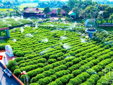 HTX: “Mắt xích vàng” trong liên kết và chuỗi giá trị toàn cầu - Bài 14