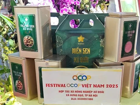 HTX kiểu mới: Trụ cột đa giá trị trong hệ sinh thái sản phẩm OCOP, Du lịch nông nghiệp và Công nghiệp văn hoá - Bài 16