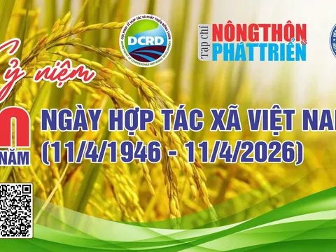 Hành trình 80 năm HTX Việt Nam (11/4/1946 - 11/4/2026: Tự cường, Đổi mới và Khát vọng kinh tế sinh thái toàn cầu - Bài 17
