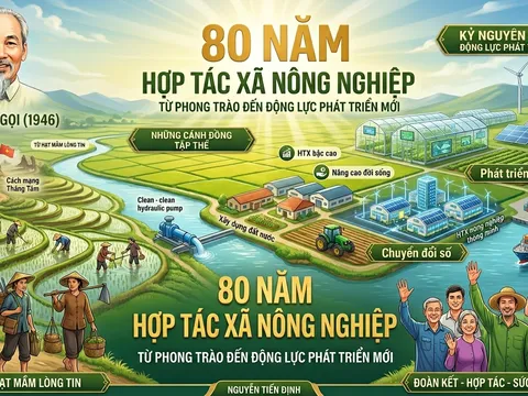 80 năm hợp tác xã nông nghiệp: Từ phong trào đến động lực phát triển mới