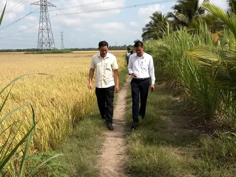 Áp dụng quy trình giảm phát thải: Lời giải cho bài toán kinh phí của nông dân miền Tây