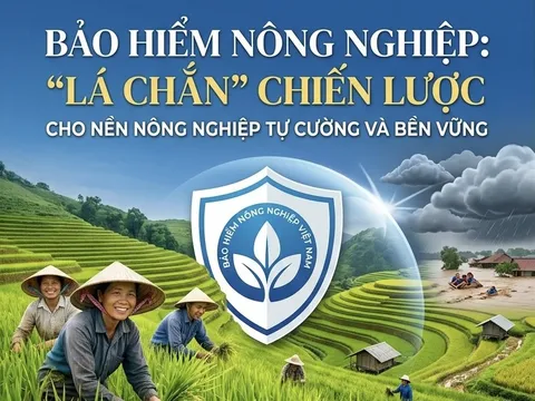 Bảo hiểm nông nghiệp: Giải pháp chiến lược cho nền nông nghiệp tự cường và bền vững