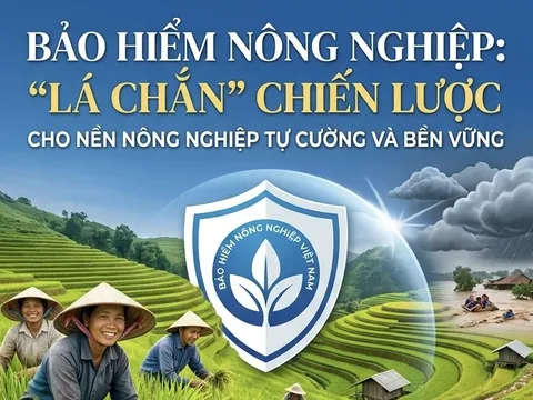 Bảo hiểm nông nghiệp: Giải pháp chiến lược cho nền nông nghiệp tự cường và bền vững