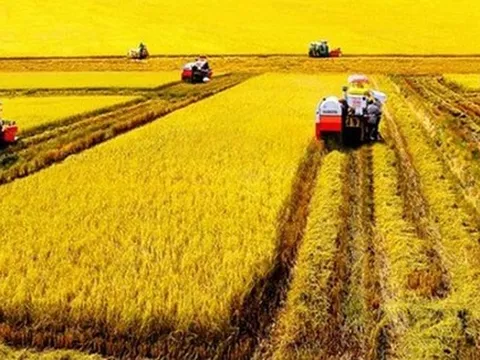 Chuyển đổi từ tư duy sản xuất nông nghiệp sang tư duy kinh tế nông nghiệp