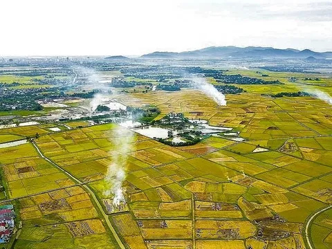 13 nguyên tắc nông nghiệp sinh thái và định hướng giải pháp chuyển đổi toàn diện, bền vững tại Đồng bằng sông Hồng