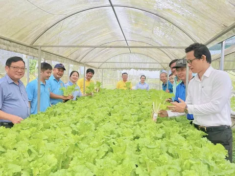Hạ tầng tri thức và không gian học hỏi: Từ chuyển giao kỹ thuật đến đồng sáng tạo trong nông nghiệp sinh thái tại Đồng bằng sông Hồng