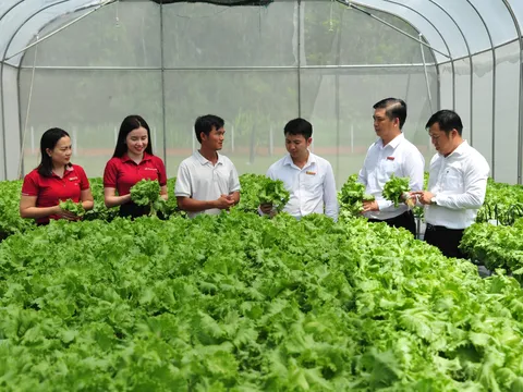 Quản trị liên ngành, liên cơ quan: Điều kiện tiên quyết để chuyển đổi nông nghiệp sinh thái có tác động toàn diện tại Đồng bằng sông Hồng