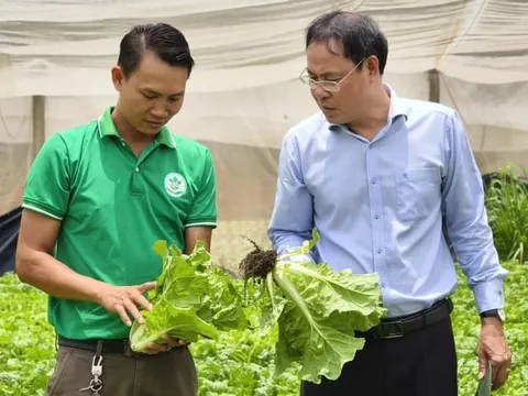 Chính sách dựa trên bằng chứng và kết nối từ địa phương đến khu vực trong tiến trình chuyển đổi nông nghiệp sinh thái tại Đồng bằng sông Hồng