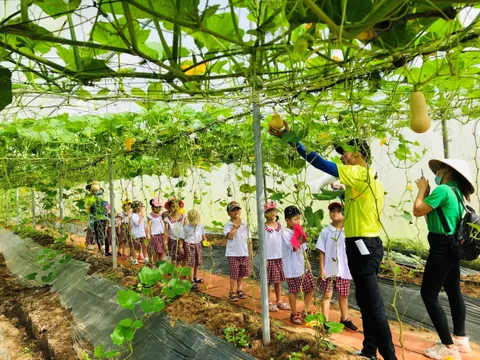 Định hướng thúc đẩy các mô hình sản xuất nông nghiệp sinh thái và ưu tiên đầu tư chiến lược tại Đồng bằng sông Hồng