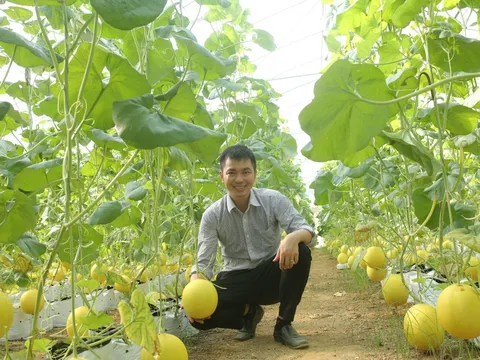 Phát huy lợi thế sinh thái và định hướng chiến lược chuyển đổi toàn diện nông nghiệp Đồng bằng sông Hồng