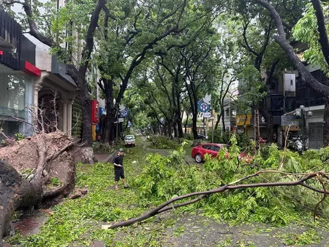 Bão Yagi tàn phá Hà Nội: Cây đổ la liệt, nhiều tuyến đường ngập nước