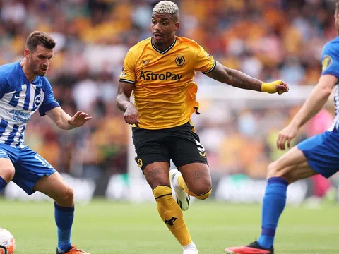 Nhận định Brighton vs Wolves: Chim mòng biển khuất phục Bầy sói