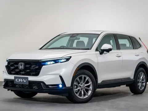 Giá bán ngang xe hạng D, Honda CR-V vẫn bán chạy hơn đối thủ