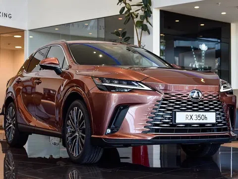 Lexus RX 350h cập bến đại lý: Động cơ hybrid mạnh mẽ, trang bị camera 360, giá từ 3,5 tỷ đồng