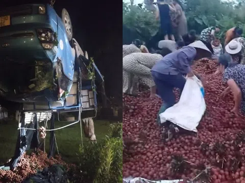 Xe tải gặp tai nạn trên đường, vải bị người dân nhặt sạch: Hiểu nhầm hay "hôi của"?