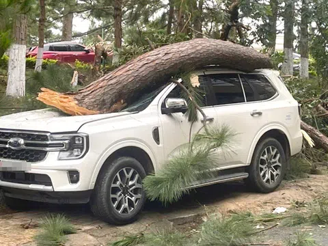 Mùa mưa bão, cẩn trọng với vị trí đỗ xe ô tô nếu không muốn "mất trắng" tài sản