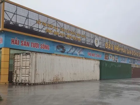 Chi 50 triệu thuê container chắn bão, dùng ôtô neo mái nhà: Người dân ứng phó bão Wipha bằng mọi cách