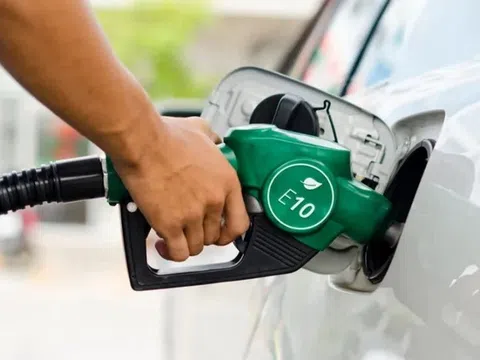 Xe ô tô nào dùng được xăng E10? Đây là cách kiểm tra nhanh và chính xác