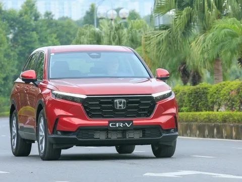 Doanh số SUV cỡ C tháng 11/2025: Phần lớn đều tăng trưởng, riêng Honda CR-V vẫn chững lại