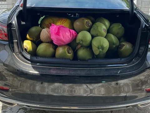 Chở đồ cồng kềnh trên ô tô dịp Tết: Những nguyên tắc quan trọng để an toàn và không phạm luật