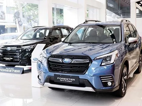 Subaru Việt Nam trấn an khách hàng sau thông tin thu hồi Crosstrek và Forester hybrid tại Mỹ