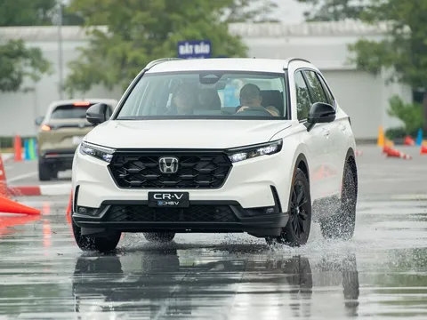 Xe hybrid ngày càng hút khách khi người Việt giảm mua ô tô động cơ xăng dầu