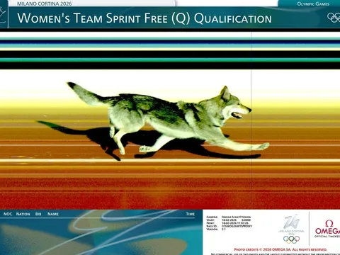 'Chó sói' lao vào đường đua Olympic mùa đông 2026 rượt đuổi VĐV, cán đích khiến CĐV phấn khích