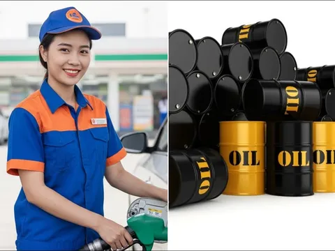 Giá xăng dầu mới nhất 15/4/2026: Thị trường nhiên liệu biến động, World Cup 2026 lên kế hoạch khẩn