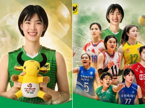 Xem trực tiếp bóng chuyền Cúp VTV9 - Bình Điền 2026 ở đâu, kênh nào? Link trực tiếp bóng chuyền