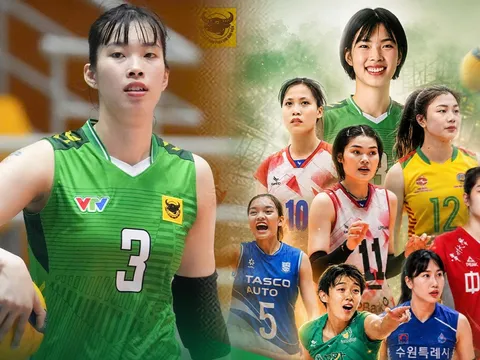 Link xem trực tiếp bóng chuyền nữ Cup VTV9 - Bình Điền 2026 mới nhất 16/5 - Xem miễn phí trên kênh nào?