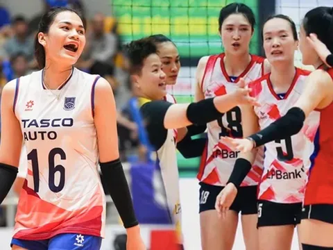 Lịch thi đấu bóng chuyền hôm nay 22/5: Hà Nội Tasco tái đấu LPBank Ninh Bình - Cúp VTV9 Bình Điền