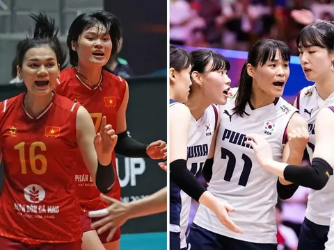 Trực tiếp Bán kết AVC Cup 2026 hôm nay 13/6 - Link xem trực tiếp bóng chuyền nữ Việt Nam vs Hàn Quốc