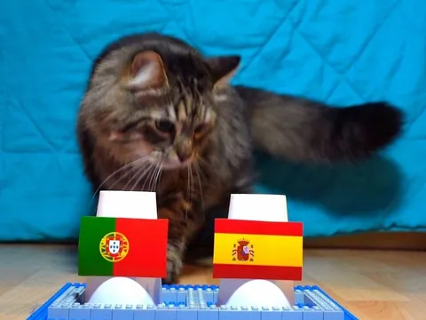 Dự đoán kết quả Bồ Đào Nha vs Tây Ban Nha - World Cup 2026: Mèo tiên tri khiến Ronaldo mừng thầm