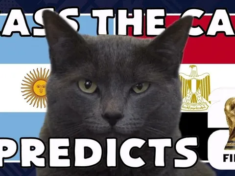 Dự đoán kết quả Argentina vs Ai Cập - World Cup 2026: Mèo tiên tri khiến Messi mừng thầm